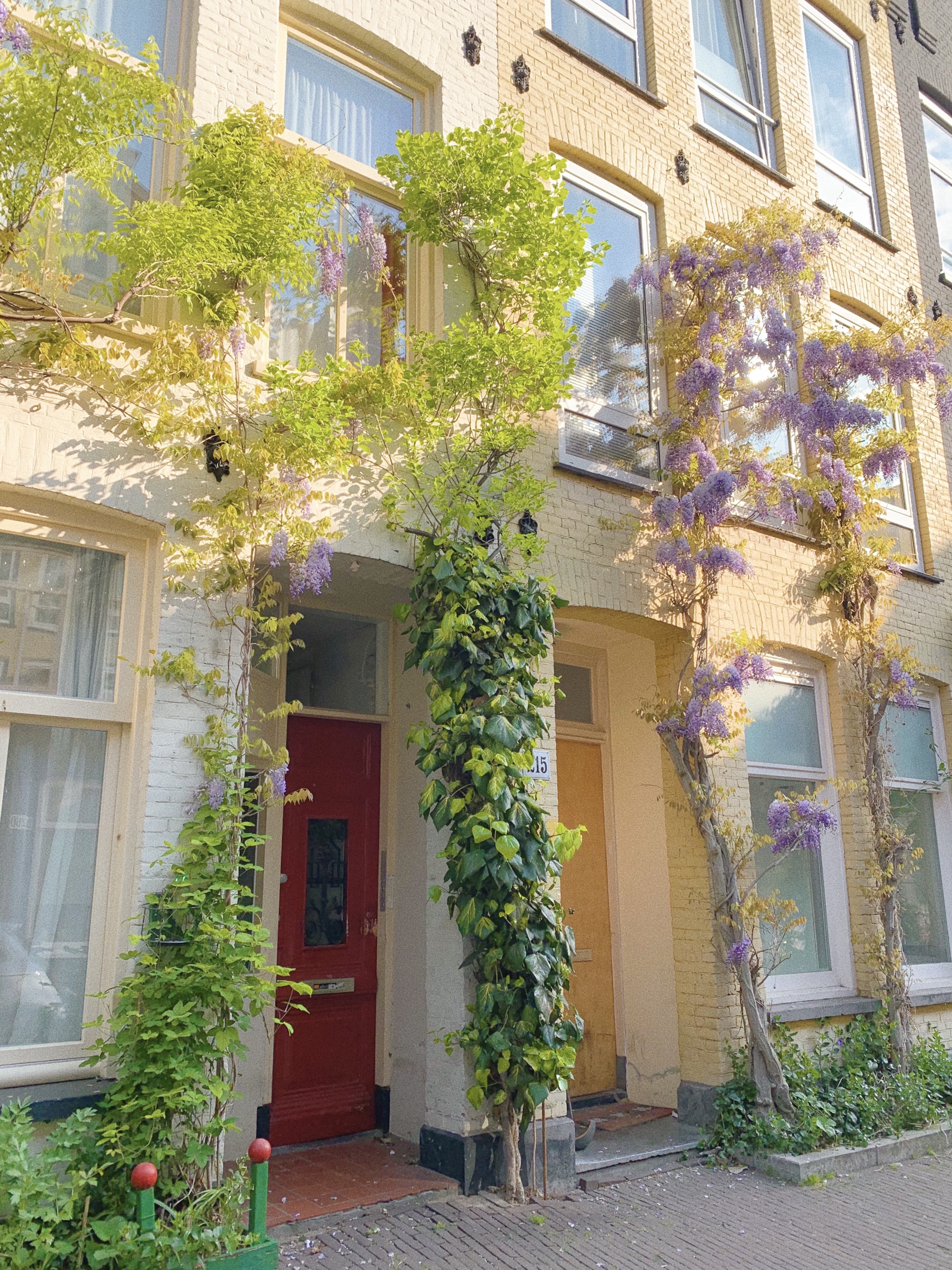 a house overgrown by flowers in Amsterdam