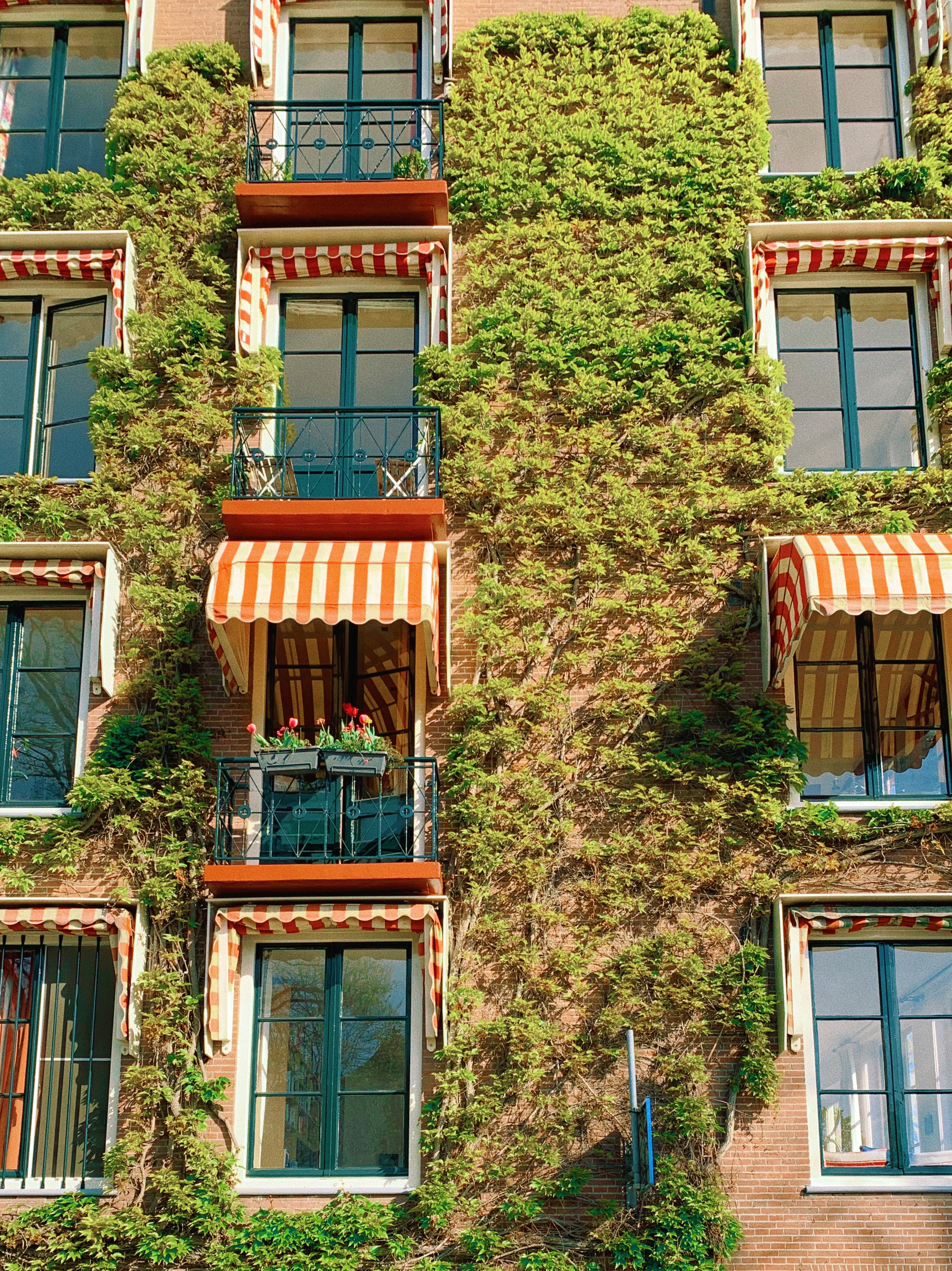 Overgrown canal house at the Amstel in Amsterdam