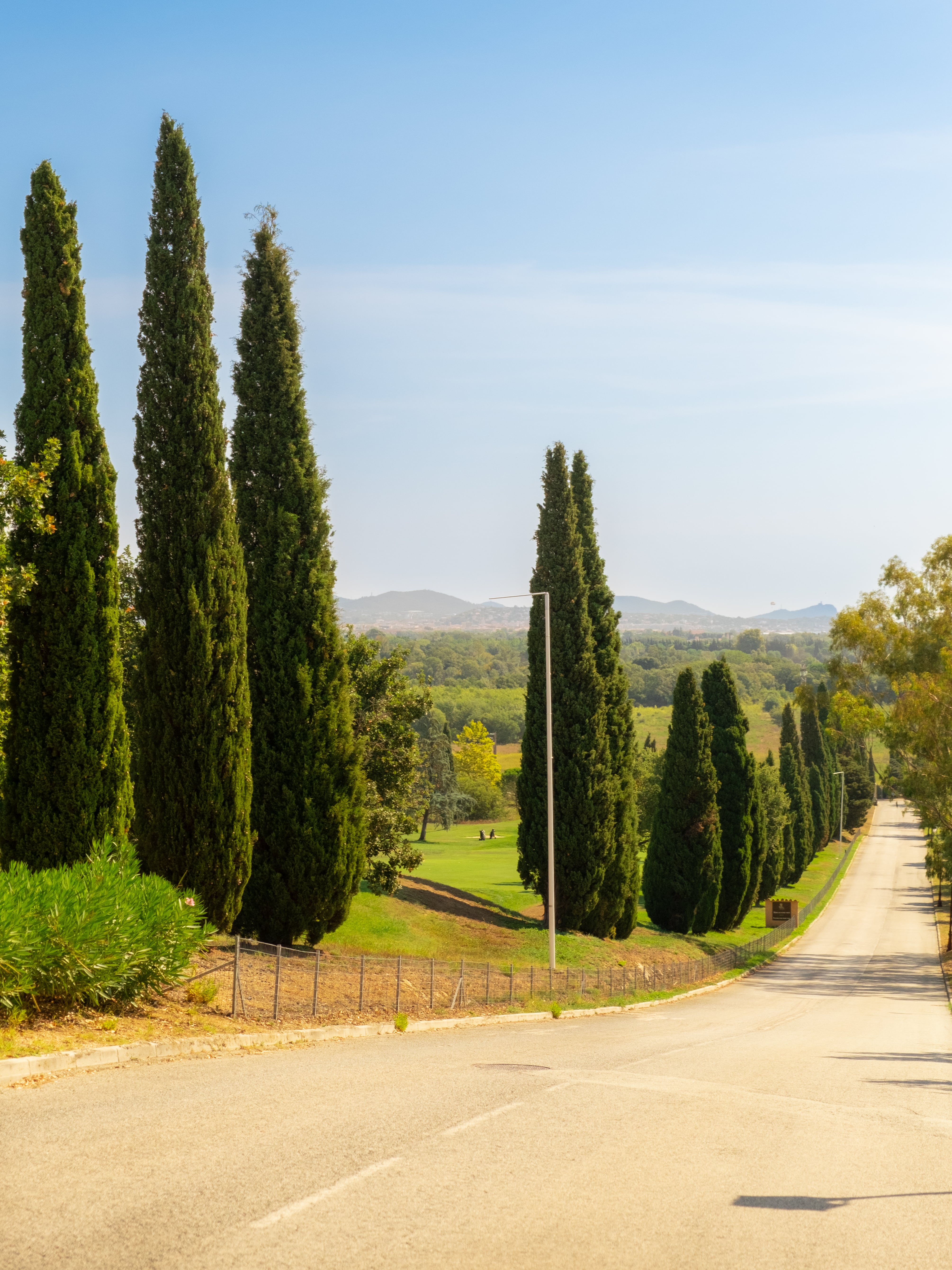 cypress lane in Saint-Aygulf, France, taken with the Fujifilm X-T4 camera, by Isabel Dröge